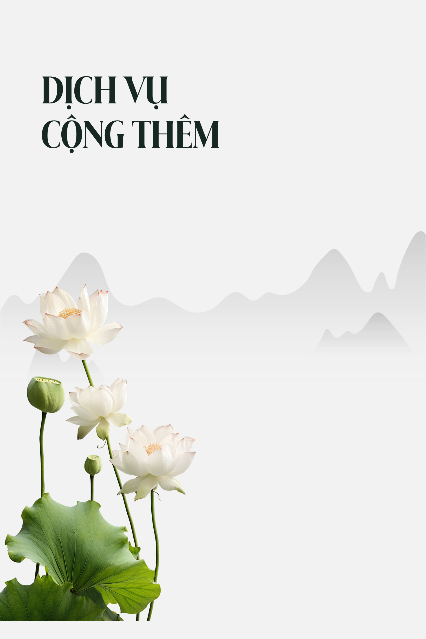  DỊCH VỤ CỘNG THÊM